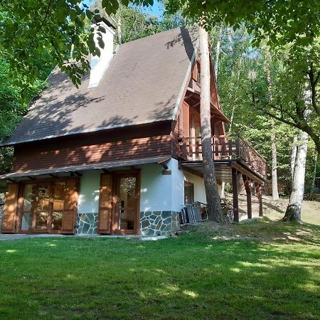 Holiday Home Zajicovi Rabyne Dış mekan fotoğraf